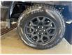 2025 Ford F-150 XLT (Stk: 25DFT010) in Drayton Valley - Image 6 of 11