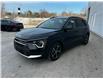 2025 Kia Niro Plug-In Hybrid EX Premium (Stk: K25202) in Listowel - Image 4 of 37