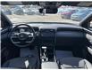2024 Hyundai Santa Cruz Ultimate (Stk: 13227) in Smiths Falls - Image 21 of 22