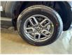 2025 Ford Bronco Sport Big Bend (Stk: 25DBS005) in Drayton Valley - Image 13 of 13