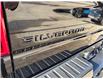 2025 Chevrolet Silverado 1500 RST (Stk: TS234687) in Caledonia - Image 20 of 76