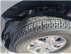 2023 Ford F-150 XLT (Stk: 90450) in Calgary - Image 6 of 28