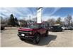 2025 Ford Bronco Badlands (Stk: 25BC2) in GANANOQUE - Image 12 of 12