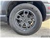 2023 Ford Bronco Sport Big Bend (Stk: 5603A) in Vanderhoof - Image 6 of 21