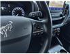 2023 Ford Bronco Sport Big Bend (Stk: 5603A) in Vanderhoof - Image 13 of 21