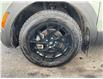 2022 Hyundai Santa Cruz Ultimate w/Colour Package (Stk: 250271) in Ottawa - Image 21 of 21