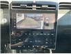 2022 Hyundai Santa Cruz Ultimate w/Colour Package (Stk: 250271) in Ottawa - Image 16 of 21