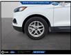 2022 Ford Edge SEL (Stk: 03230) in GEORGETOWN - Image 13 of 13