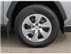 2023 Toyota RAV4 LE (Stk: WU7654) in Welland - Image 12 of 30