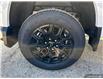 2025 Chevrolet Colorado WT (Stk: T25061) in Sundridge - Image 9 of 30