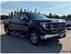 2025 GMC Sierra 1500 SLT (Stk: T25929) in Sundridge - Image 7 of 30