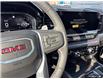 2025 GMC Sierra 1500 SLT (Stk: T25929) in Sundridge - Image 19 of 30