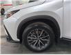 2023 Lexus NX 350h Base (Stk: 10115857A) in Markham - Image 10 of 30