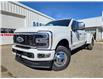 2025 Ford F-350 Platinum (Stk: 25027) in Raymond - Image 4 of 24