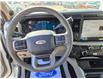 2025 Ford F-350 Platinum (Stk: 25027) in Raymond - Image 16 of 24