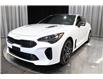 2023 Kia Stinger GT Elite w/Red Interior (Stk: 25494D) in Edmonton - Image 6 of 31