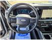 2025 Ford F-350 Platinum (Stk: 25026) in Raymond - Image 16 of 23