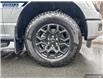 2025 Ford F-150 XLT (Stk: 26859) in Dartmouth - Image 7 of 24