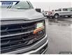 2025 Ford F-150 XLT (Stk: 26859) in Dartmouth - Image 8 of 24