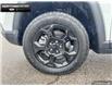 2023 Jeep Compass Trailhawk (Stk: A1000) in Brantford - Image 6 of 23