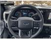 2024 Ford F-250  (Stk: 4F279716) in Brantford - Image 12 of 22