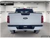 2025 Ford F-150 XLT (Stk: 5F107811) in Brantford - Image 5 of 21