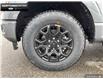 2025 Ford F-150 XLT (Stk: 5F133963) in Brantford - Image 6 of 23
