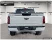 2025 Ford F-150 XLT (Stk: 5F129302) in Brantford - Image 5 of 22
