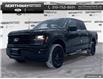 2025 Ford F-150 XLT (Stk: 5F108918) in Brantford - Image 1 of 21