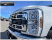 2025 Ford F-250  (Stk: 5F222570) in Brantford - Image 6 of 22
