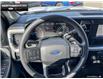 2025 Ford F-250  (Stk: 5F222570) in Brantford - Image 11 of 22