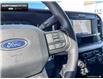 2025 Ford F-250  (Stk: 5F222570) in Brantford - Image 13 of 22