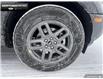 2025 Ford Bronco Sport Big Bend (Stk: 5BR3178) in Brantford - Image 6 of 23