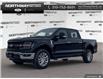 2024 Ford F-150 XLT (Stk: 4F139439) in Brantford - Image 1 of 20
