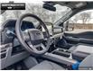 2024 Ford F-150 XLT (Stk: 4F139439) in Brantford - Image 11 of 20