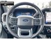 2024 Ford F-150 XLT (Stk: 4F139439) in Brantford - Image 12 of 20