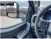 2024 Ford F-150 XLT (Stk: 4F139439) in Brantford - Image 14 of 20
