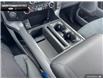 2024 Ford F-150 XLT (Stk: 4F139439) in Brantford - Image 15 of 20