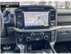 2024 Ford F-150 XLT (Stk: 4F139439) in Brantford - Image 16 of 20