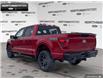 2024 Ford F-150 STX (Stk: 4F191137) in Brantford - Image 4 of 20