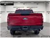 2024 Ford F-150 STX (Stk: 4F191137) in Brantford - Image 5 of 20