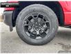 2024 Ford F-150 STX (Stk: 4F191137) in Brantford - Image 6 of 20