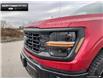 2024 Ford F-150 STX (Stk: 4F191137) in Brantford - Image 7 of 20