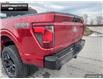 2024 Ford F-150 STX (Stk: 4F191137) in Brantford - Image 9 of 20
