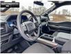 2024 Ford F-150 STX (Stk: 4F191137) in Brantford - Image 11 of 20
