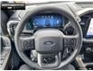 2024 Ford F-150 STX (Stk: 4F191137) in Brantford - Image 12 of 20