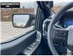 2024 Ford F-150 STX (Stk: 4F191137) in Brantford - Image 14 of 20