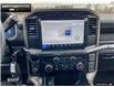 2024 Ford F-150 STX (Stk: 4F191137) in Brantford - Image 16 of 20