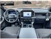 2024 Ford F-150 STX (Stk: 4F191137) in Brantford - Image 19 of 20