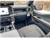 2024 Ford F-150 STX (Stk: 4F191137) in Brantford - Image 20 of 20